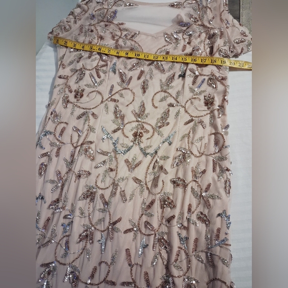 Blush Pink Beaded Illusion Evening Gown Size 14W - Picture 12 of 16